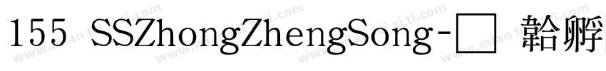155 SSZhongZhengSong字体转换